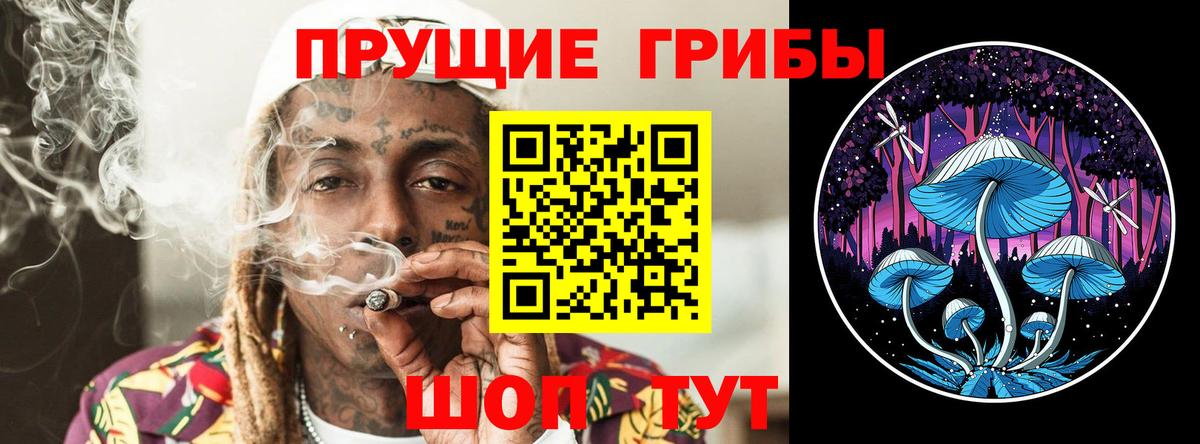 Галлюциногенные грибы GOLDEN TEACHER Богданович