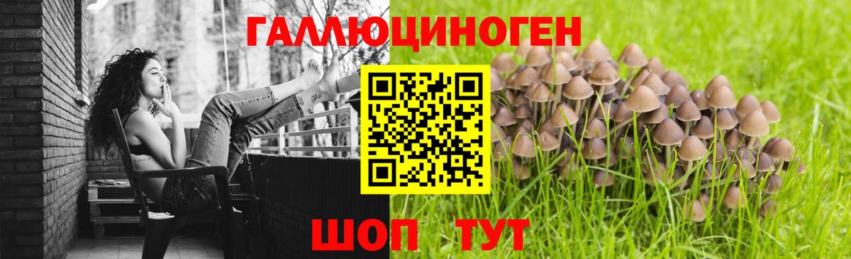 Богданович  сколько стоит  Псилоцибиновые грибы Psilocybine cubensis  Вход с VPN  Галлюциногенные грибы мухоморы 