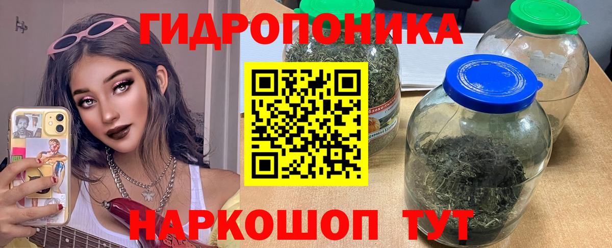 Каннабис план Богданович